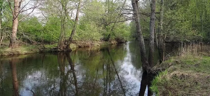 Река Колпь Мещерского края