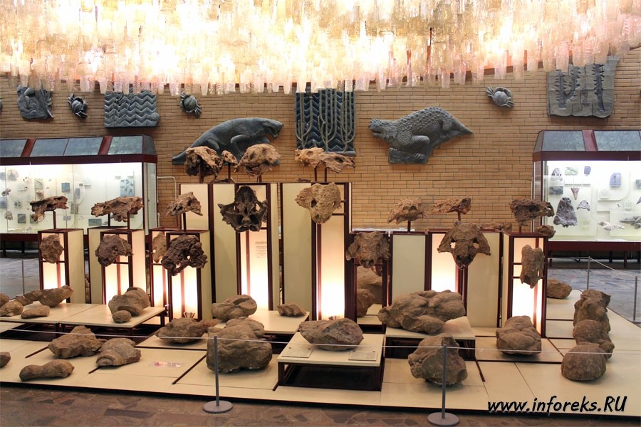 Палеонтологический музей в Москве 2
