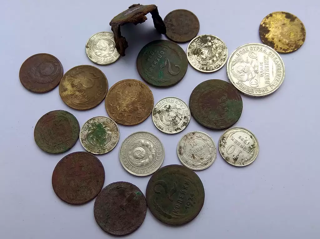 часть лесных находок