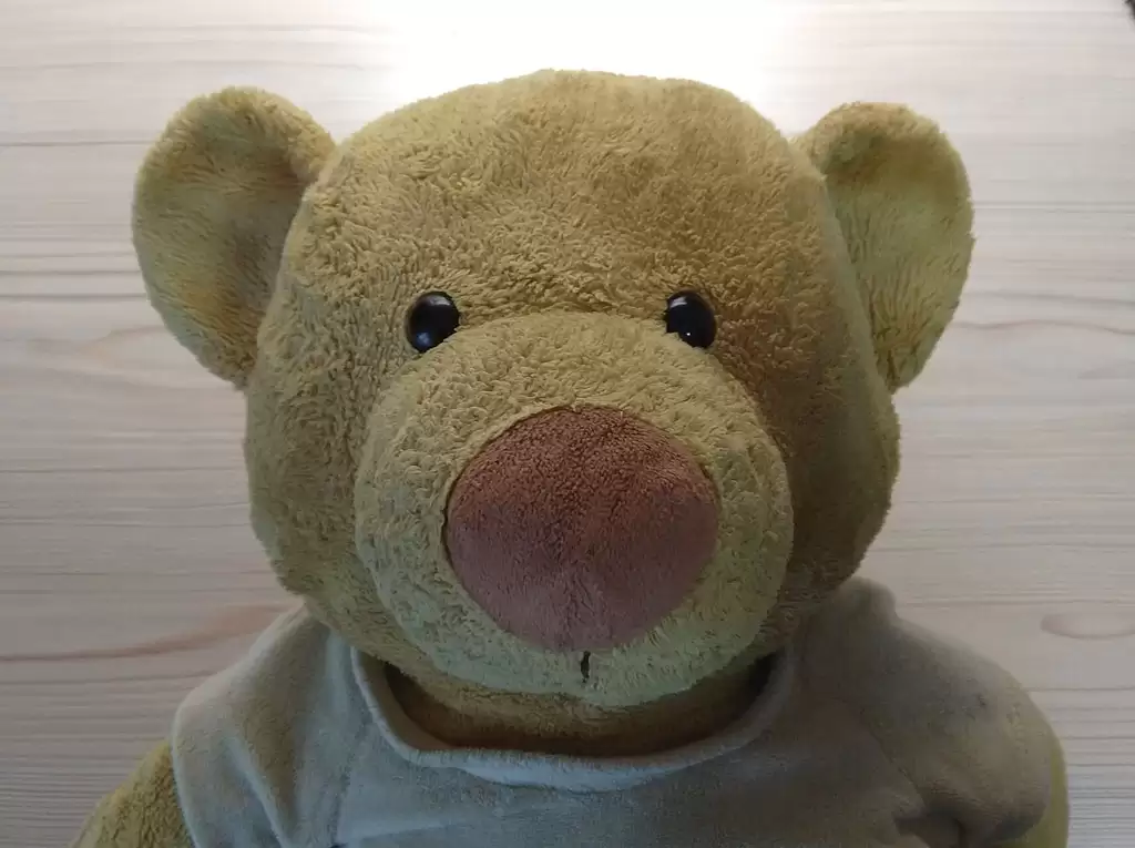 Медведь обыкновенный (без маски)