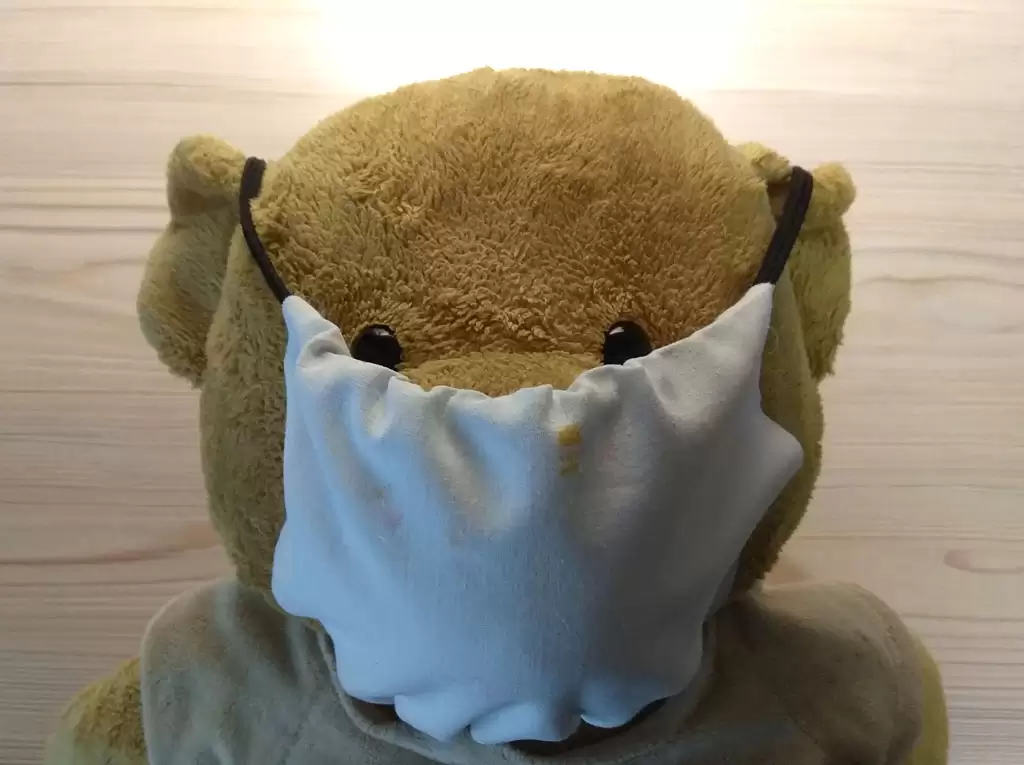 Медведь с маской от коронавируса :)